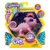 Little Live Pets Lil Chameleon Series 2 Single Pack