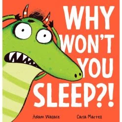 Scholastic Childrens Book Why Wont You Sleep